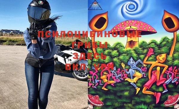шишки Бронницы