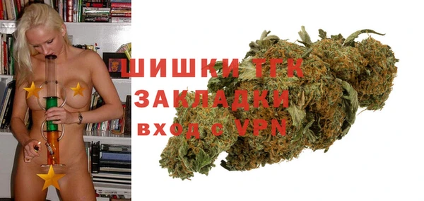 шишки Бронницы