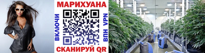 гидра как войти  Новомичуринск  Каннабис план 
